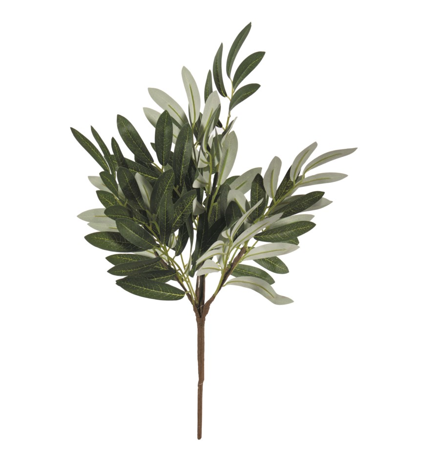 Real Olive Branch Bundle Fresh/Dry