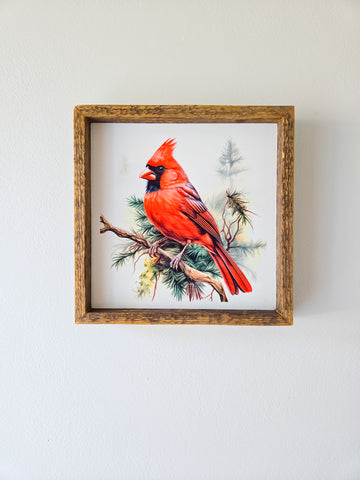 9x9 Sublimated  Cardinal on pine branch sign.