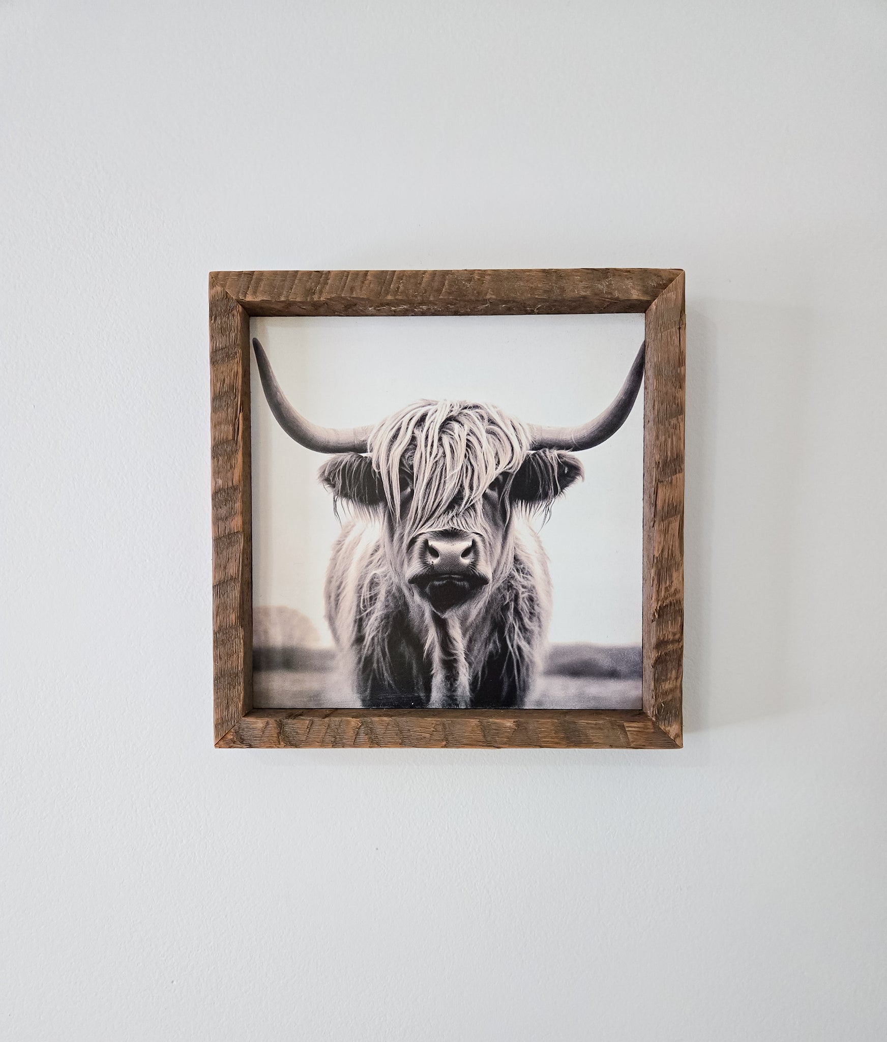 9x9 Highland cow sign.