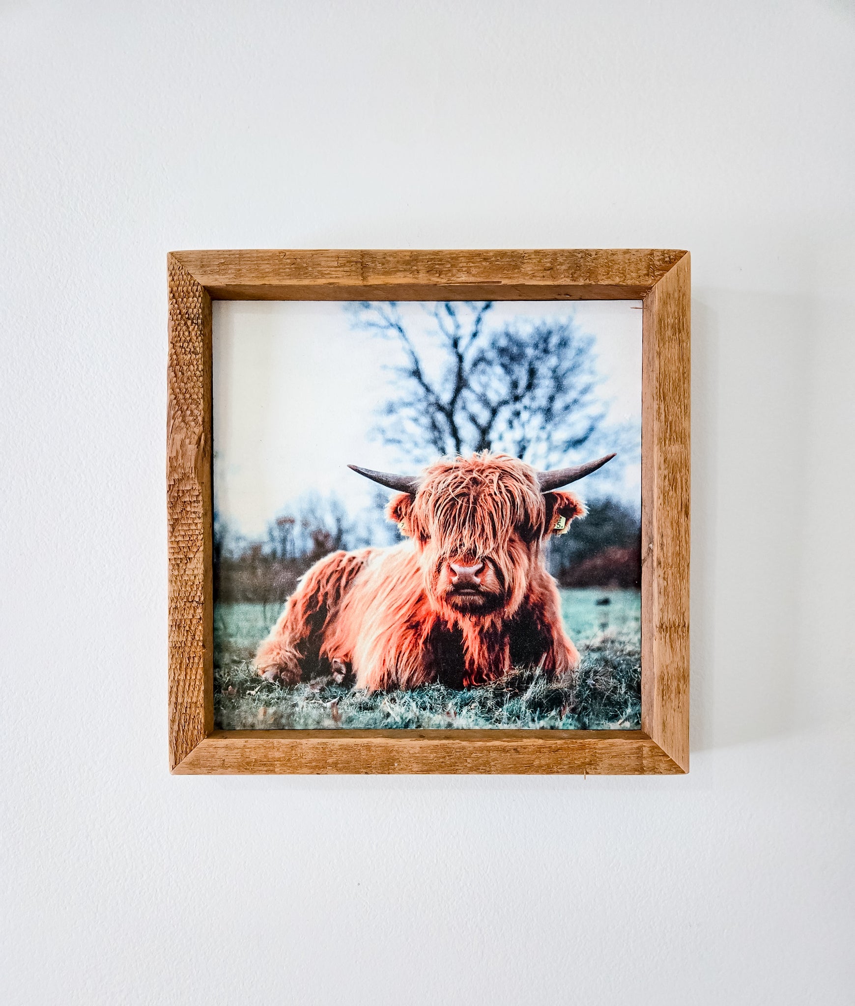 4x4 Sublimated Highland cow in a field sign