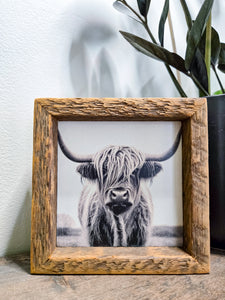 4x4 Sublimated Highland cow sign