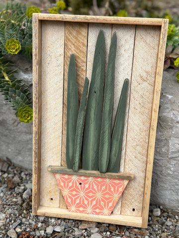 Coral Pot Lath Snake Plant