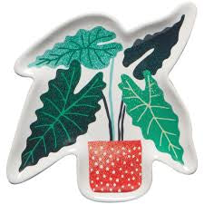 Shaped Dish Let It Grow- Assorted Styles